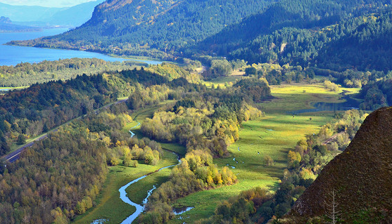 加拿大房产:新屋开工低于预期
