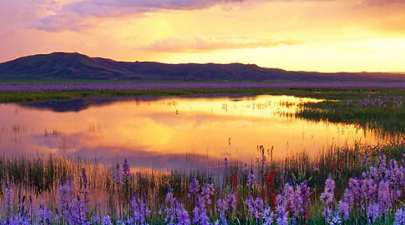 加拿大房产:改下门牌号也赚钱?