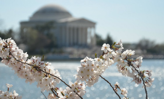 加拿大房产：加拿大值得被关注的理由