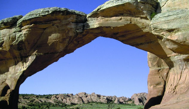 加拿大房产：加国留学专业要选对