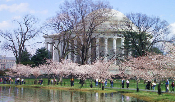 加拿大房产：选择加国买房到底如何？