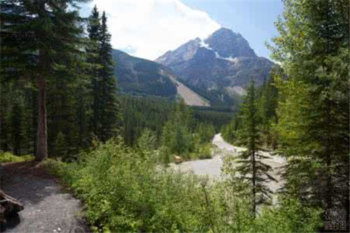 在多伦多租房租约一般多久啊?