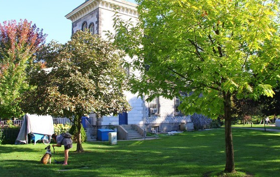 加拿大买房过程中都有哪些要求?