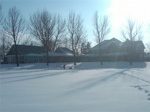 中国不完蛋 加拿大楼市泡沫破不了